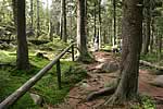 auf dem Weg zur Achtermannskuppe