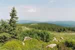 Blick vom Brocken Richtung Bad Harzburg