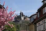 Blick im Frühling zum Wernigeröder Schloss